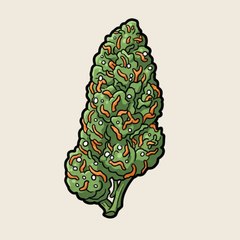 CBD Topskud