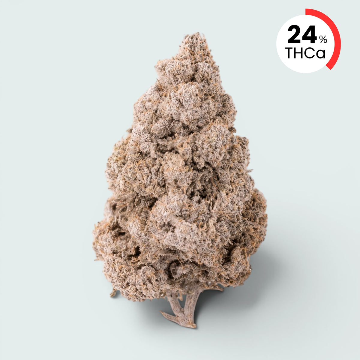 Zkittles | 24% THCA