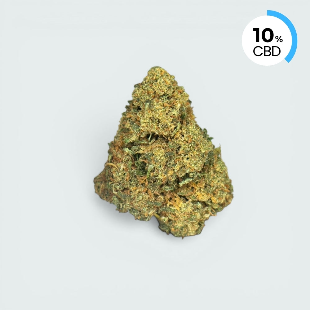 Blueberry Crush | 10% CBD