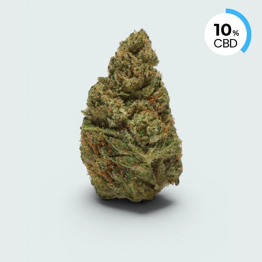 White Widow | 10% CBD