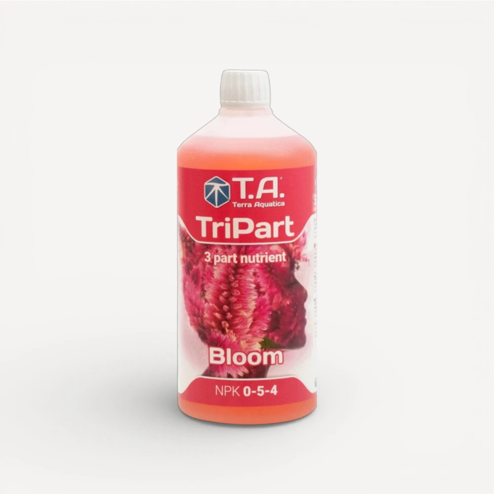 T.A TriPart - Bloom
